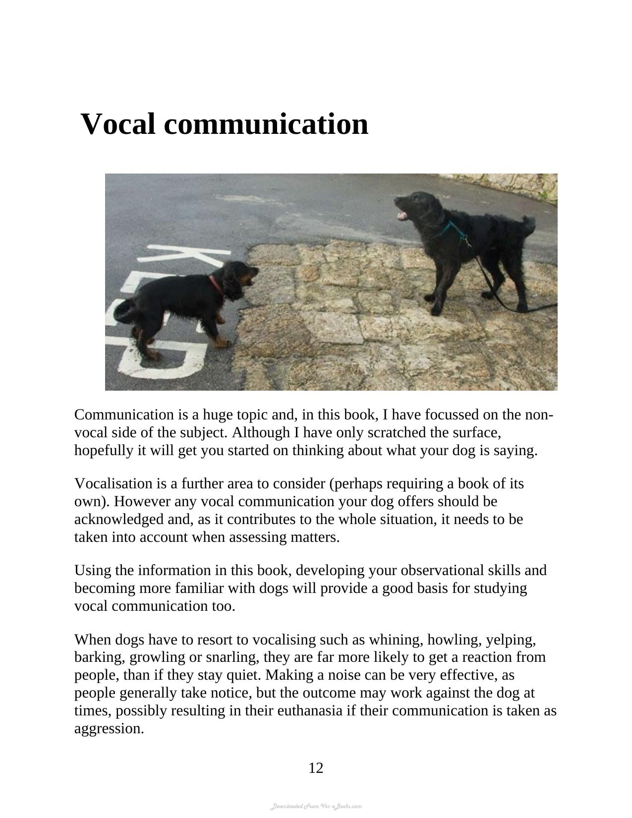Understanding The Silent Communication Of Dogs