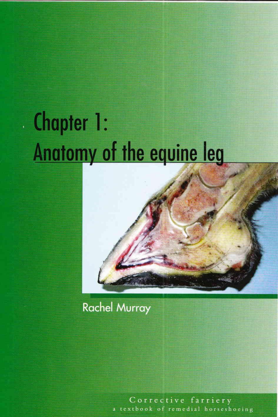 Corrective Farriery A Textbook Of Remedial Horsehoeing Volume 1
