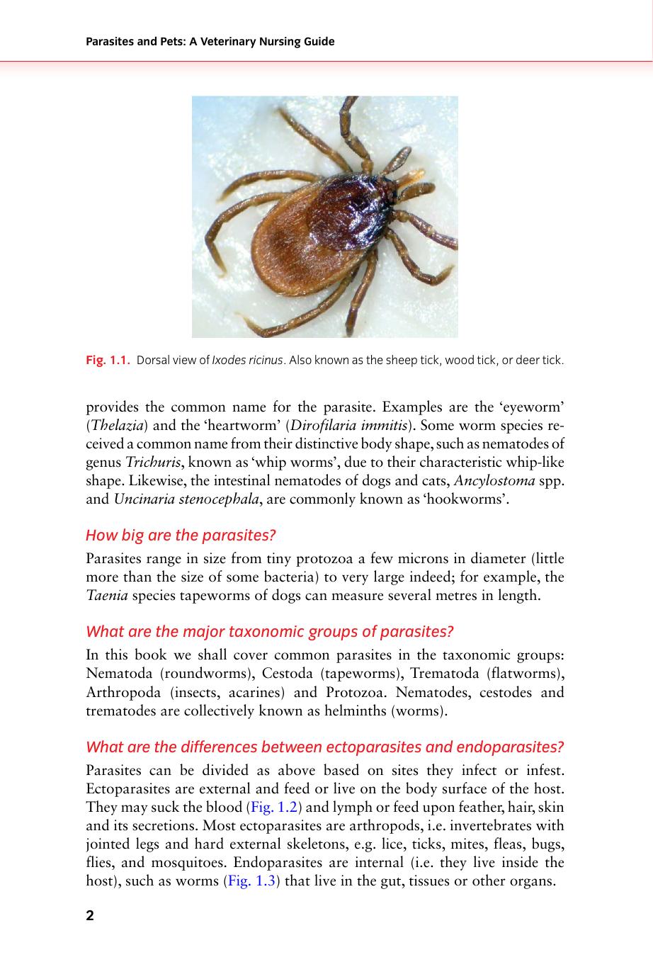 Parasites And Pets A Veterinary Nursing Guide