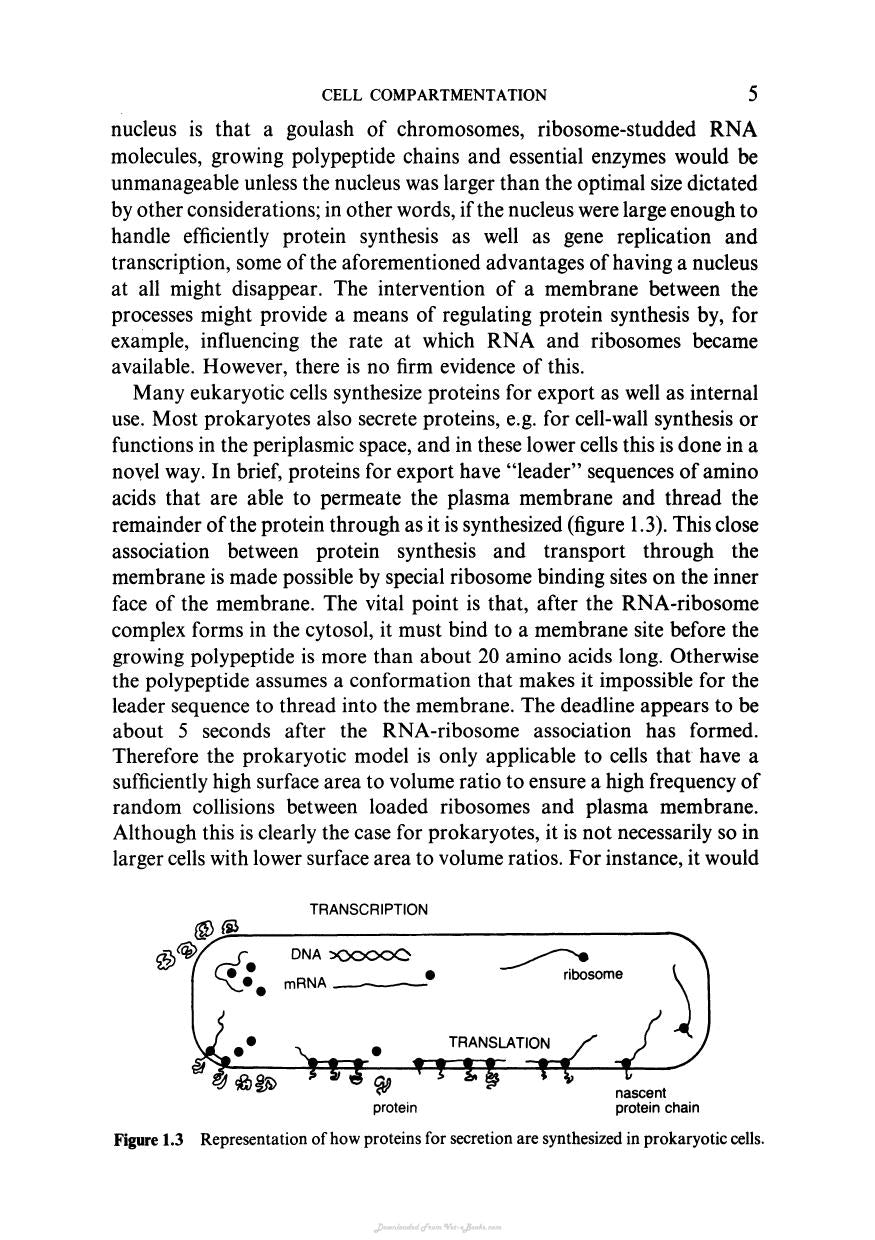 Biochemistry And Structure Of Cell Organelle