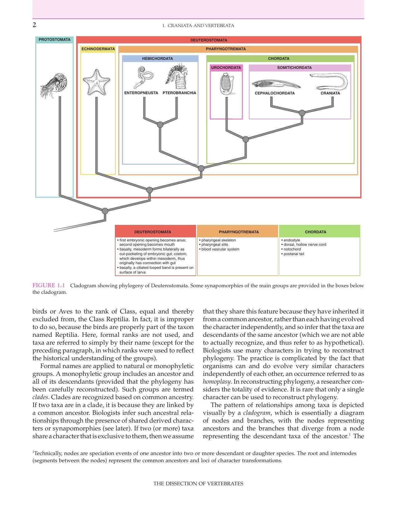 The Dissection Of Vertebrates 2Nd Edition