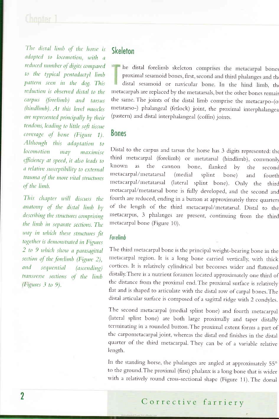 Corrective Farriery A Textbook Of Remedial Horsehoeing Volume 1