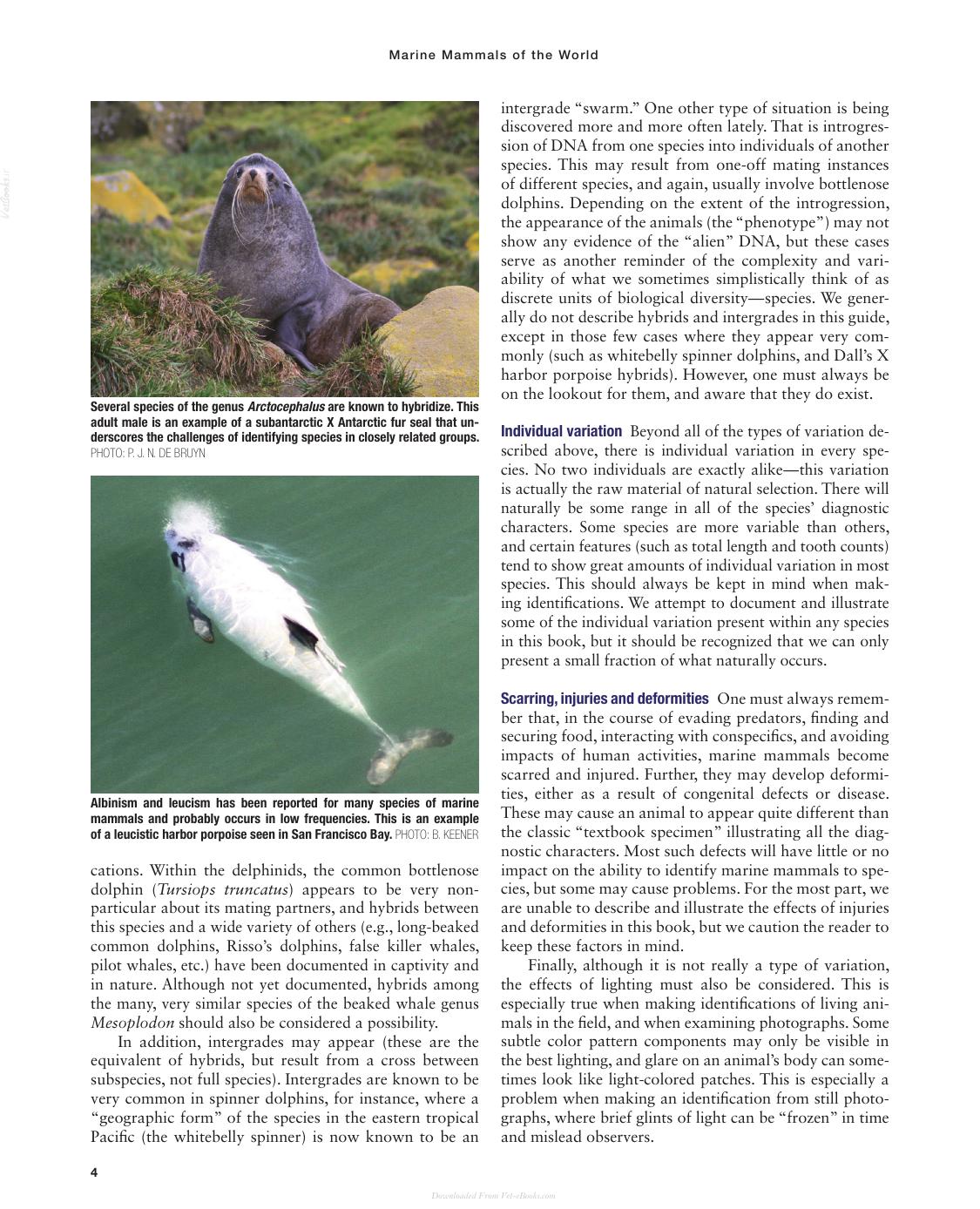 Marine Mammals Of The World A Comprehensive Guide To Their Identification 2Nd Edition