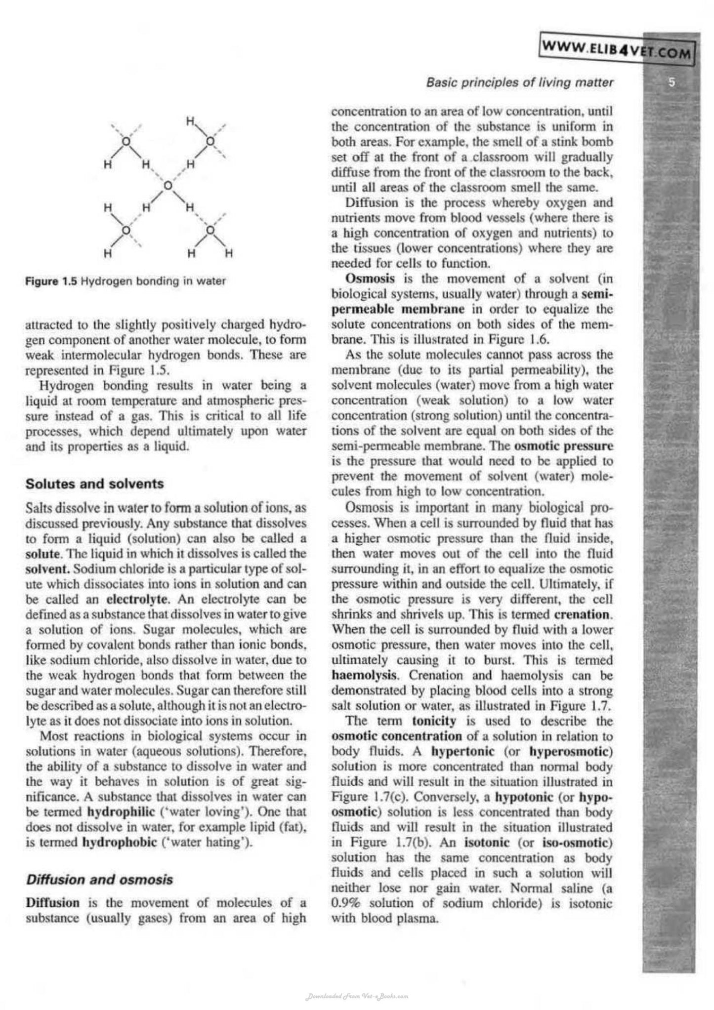 Veterinary Physiology And Applied Anatomy A Textbook For Veterinary Nurses And Technicians
