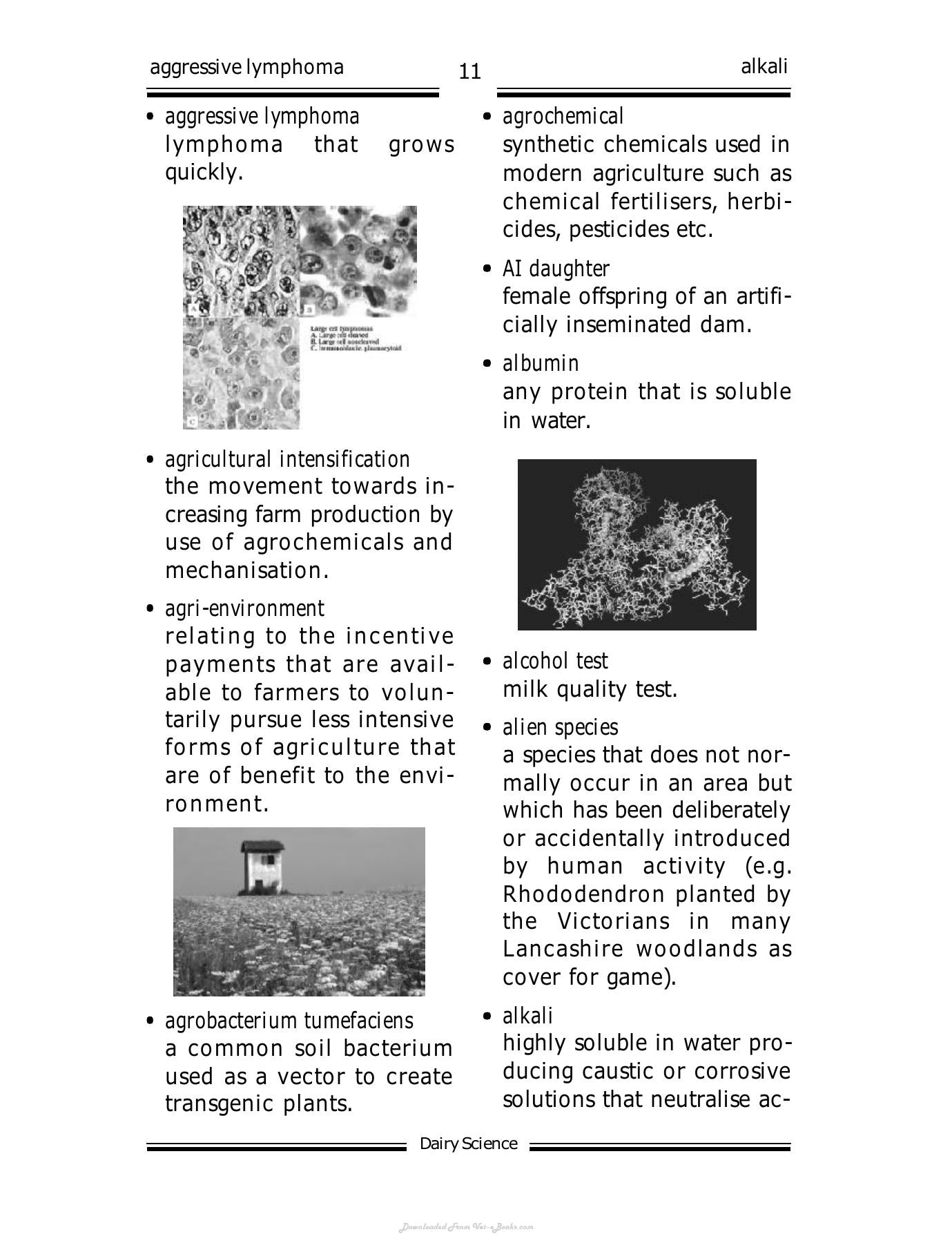 Biotechs Dictionary Of Dairy Science