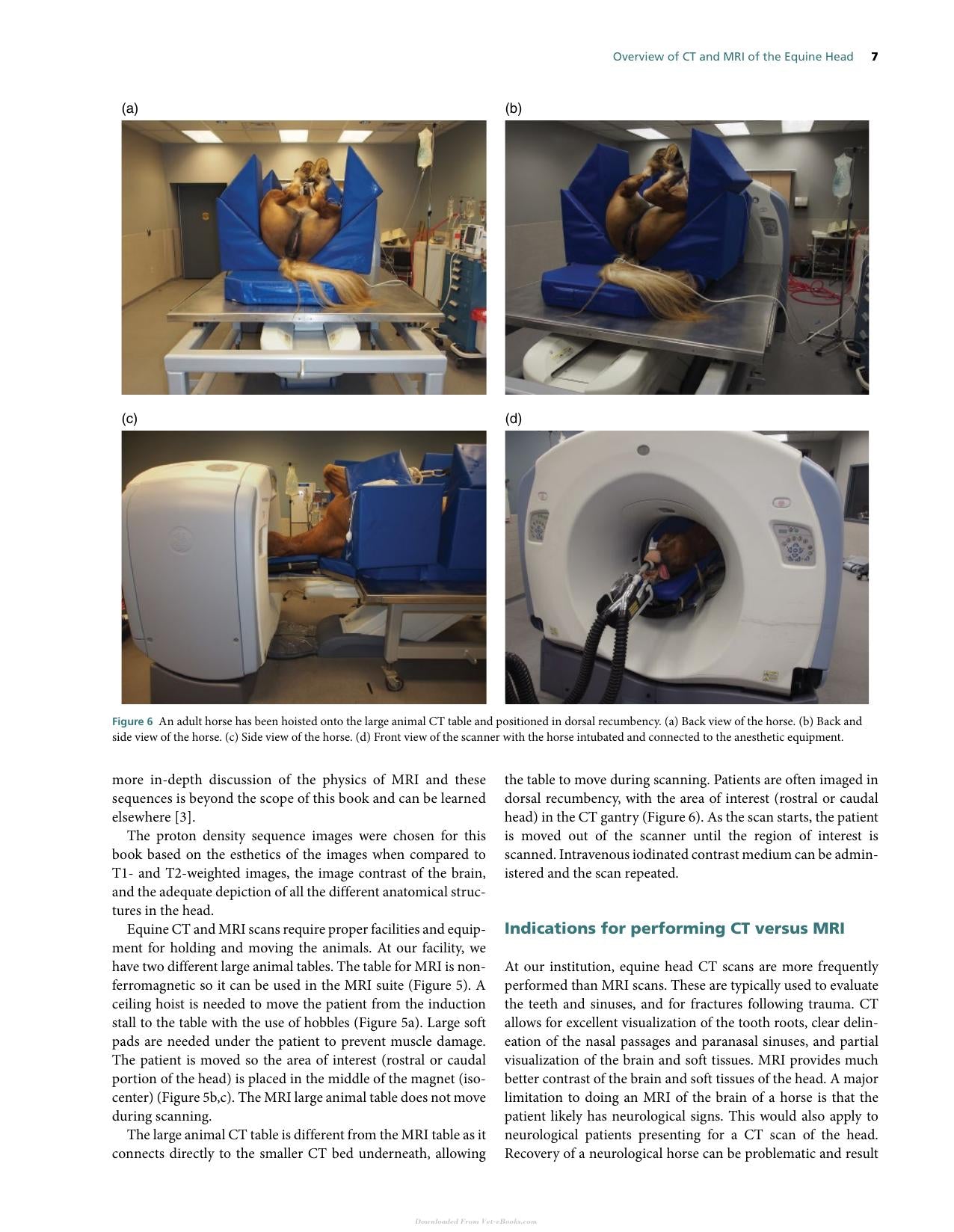 Atlas Of Clinical Imaging And Anatomy Of The Equine Head