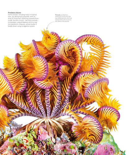 The Science of Animals Inside Their Secret World