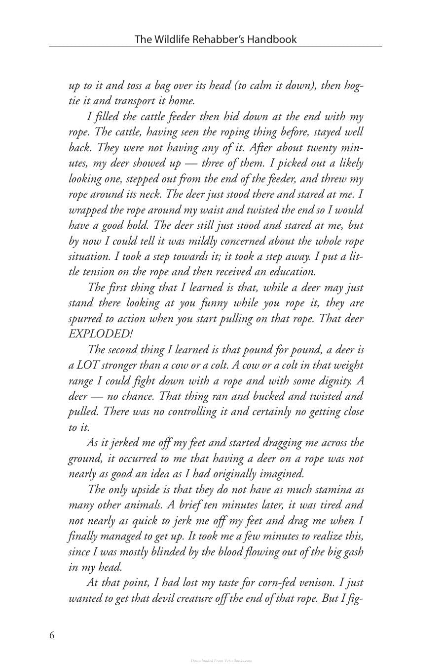 Look inside — page 13