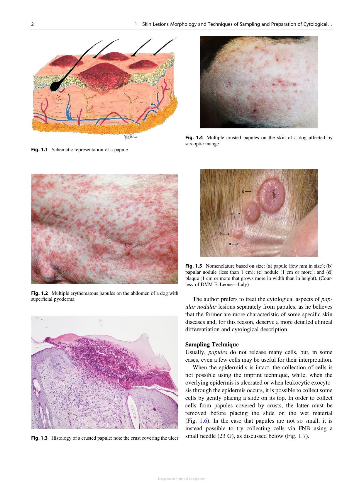 Canine And Feline Skin Cytology 2Nd Edition