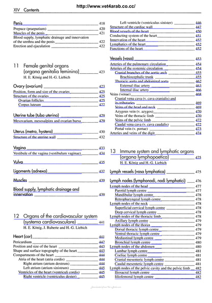 Veterinary Anatomy of Domestic Mammals 3rd Edition