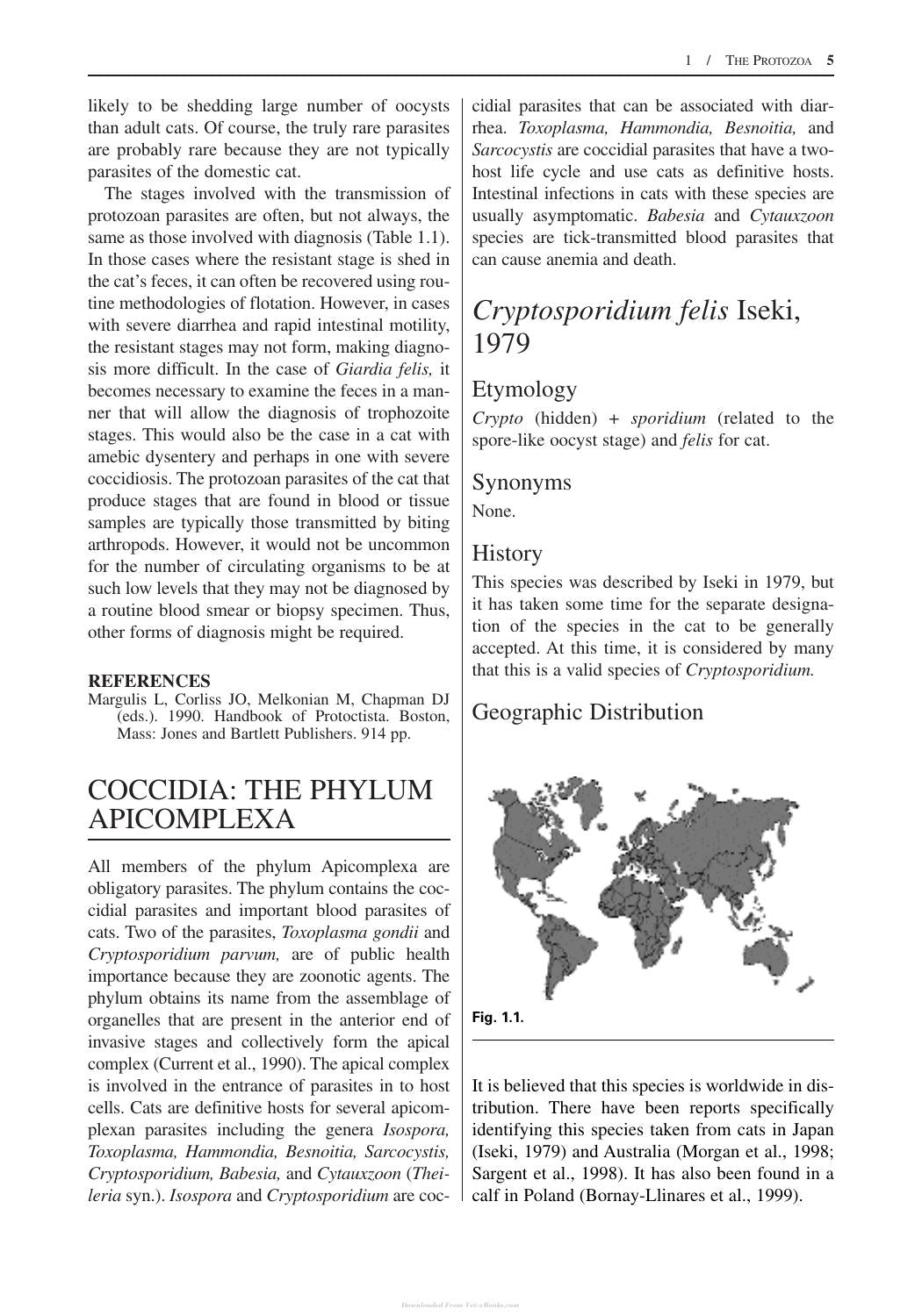Feline Clinical Parasitology