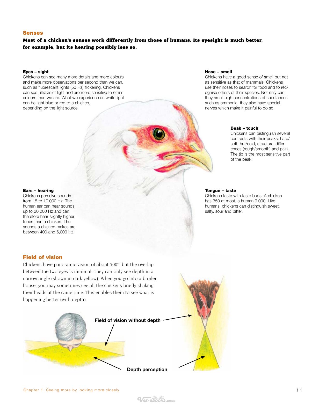 Broiler Signals A Practical Guide To Broiler Focused Management