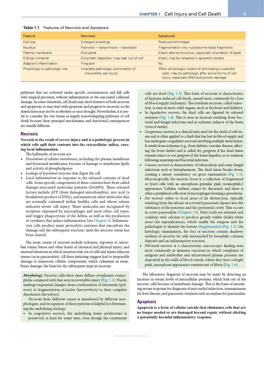 Preview page of Robbins Essential Pathology