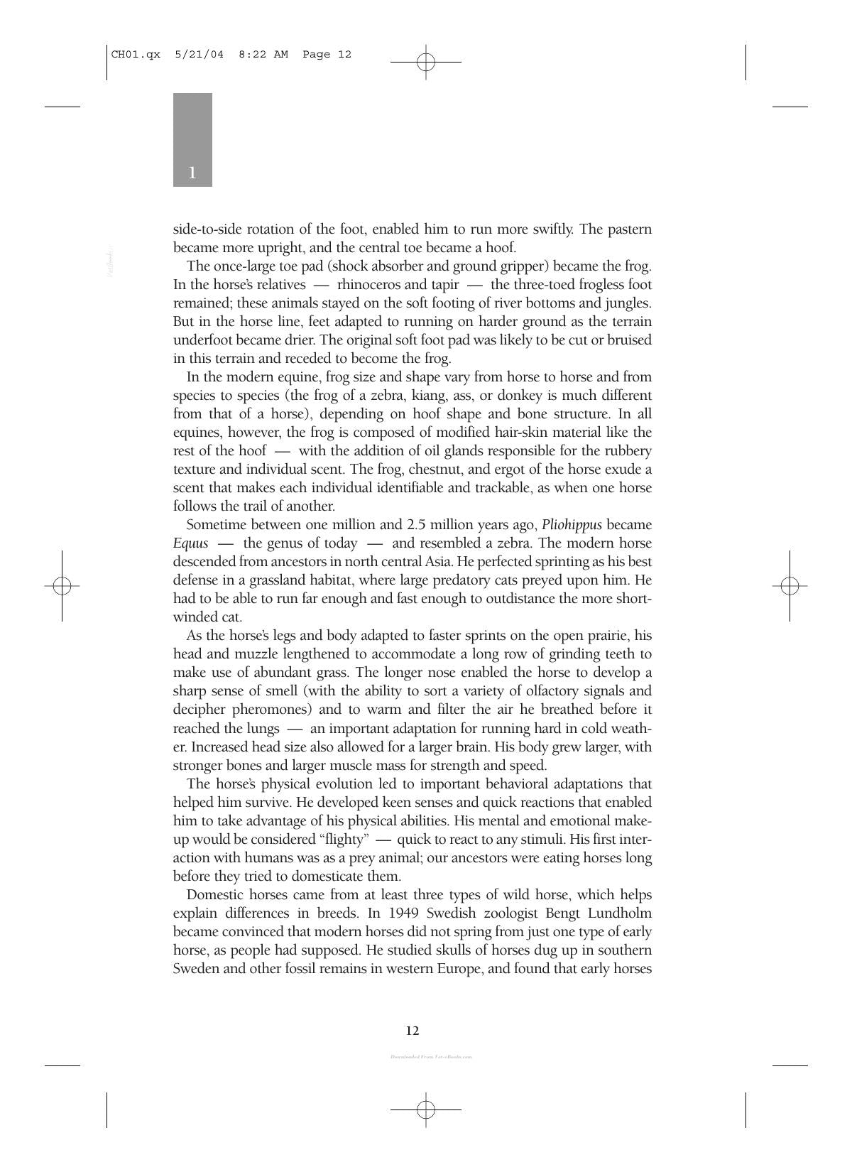 Care And Management Of Horses A Practical Guide For The Horse Owner