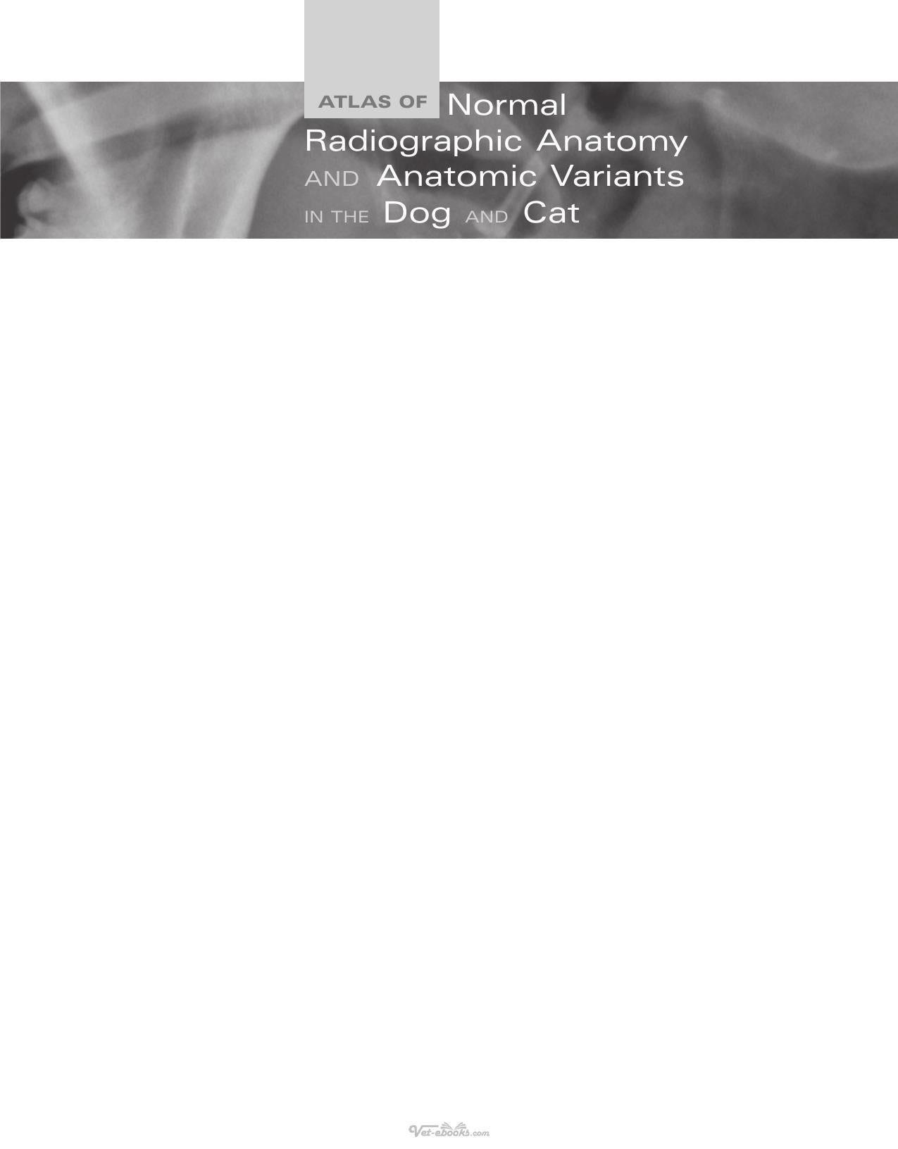 Look inside — page 13
