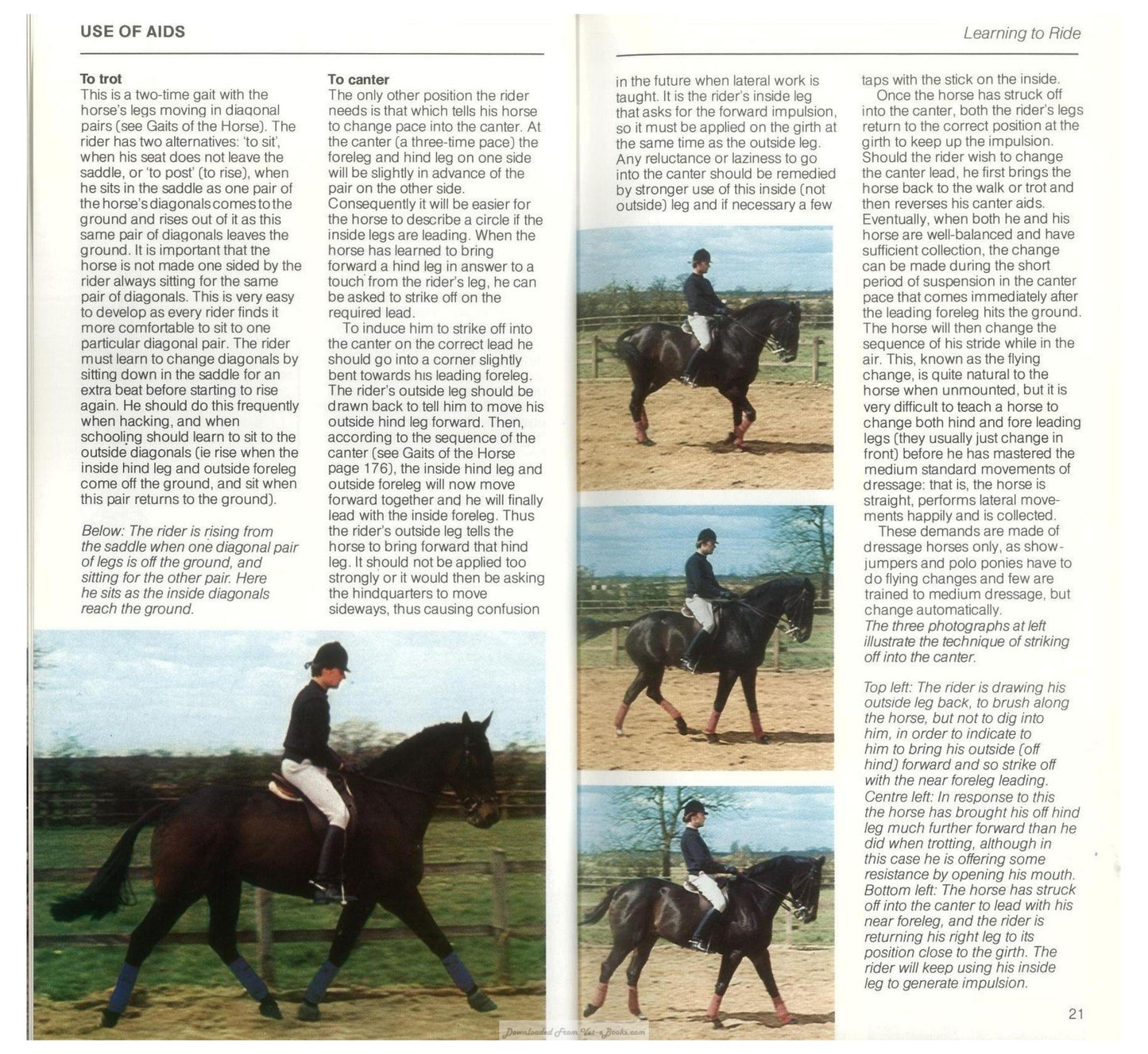 Young Riders Guide To Horse And Pony Care