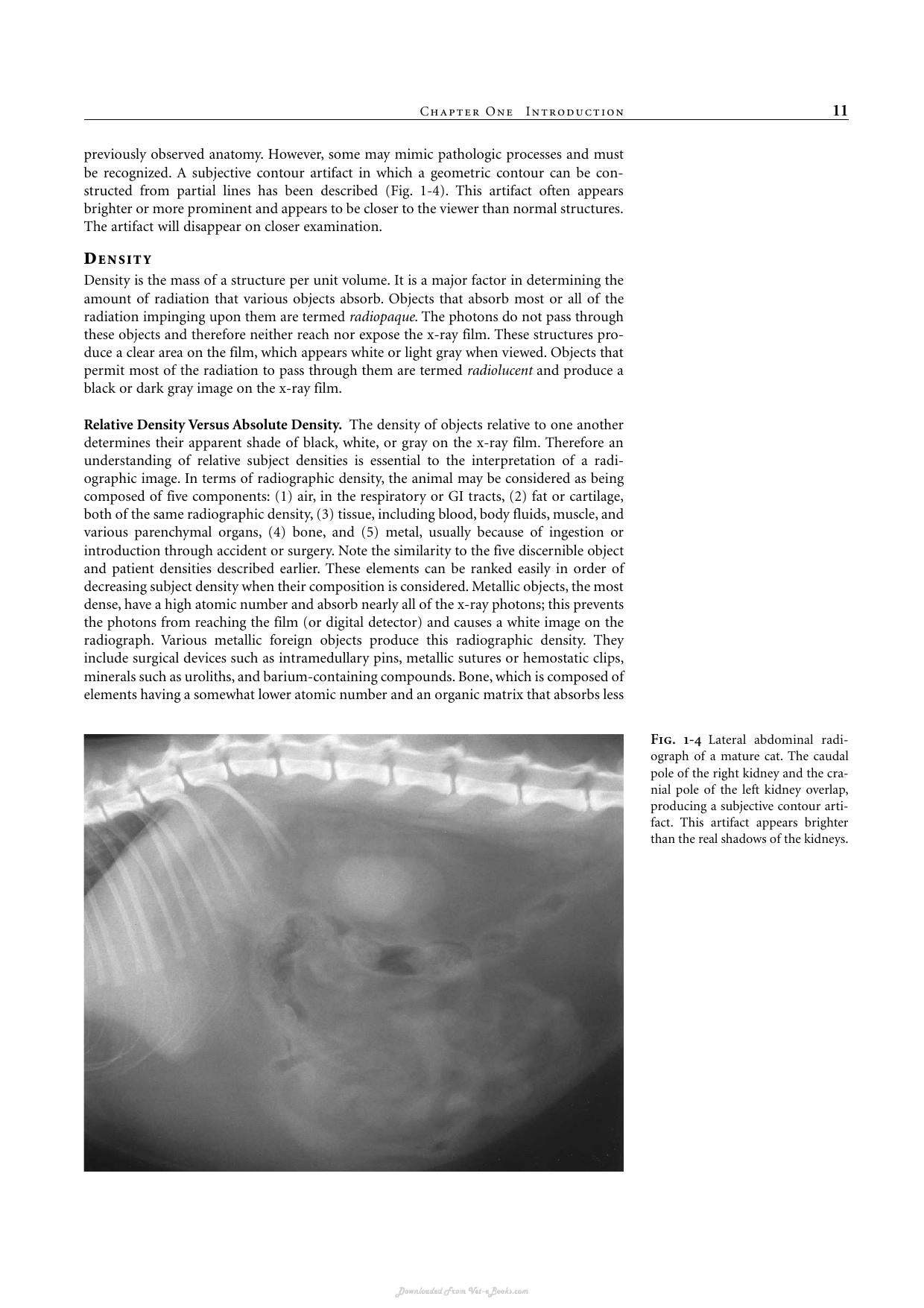 Look inside — page 13