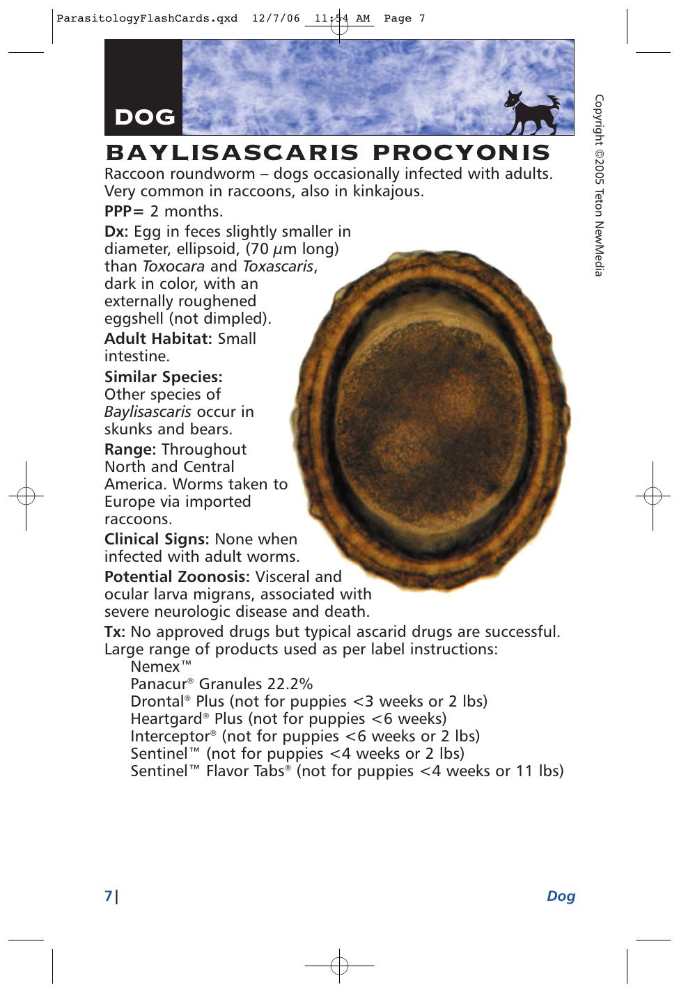 Parasitology Diagnosis And Treatment Of Common Parasitisms In Dogs And Cats