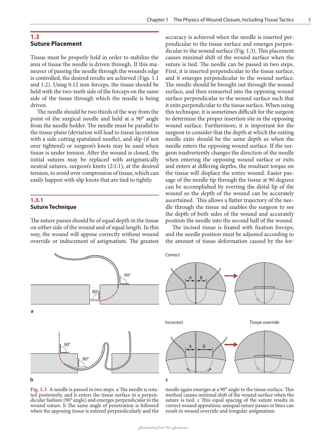 Look inside — page 13