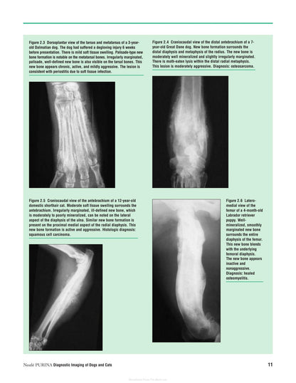 Diagnostic Imaging of Dogs and Cats