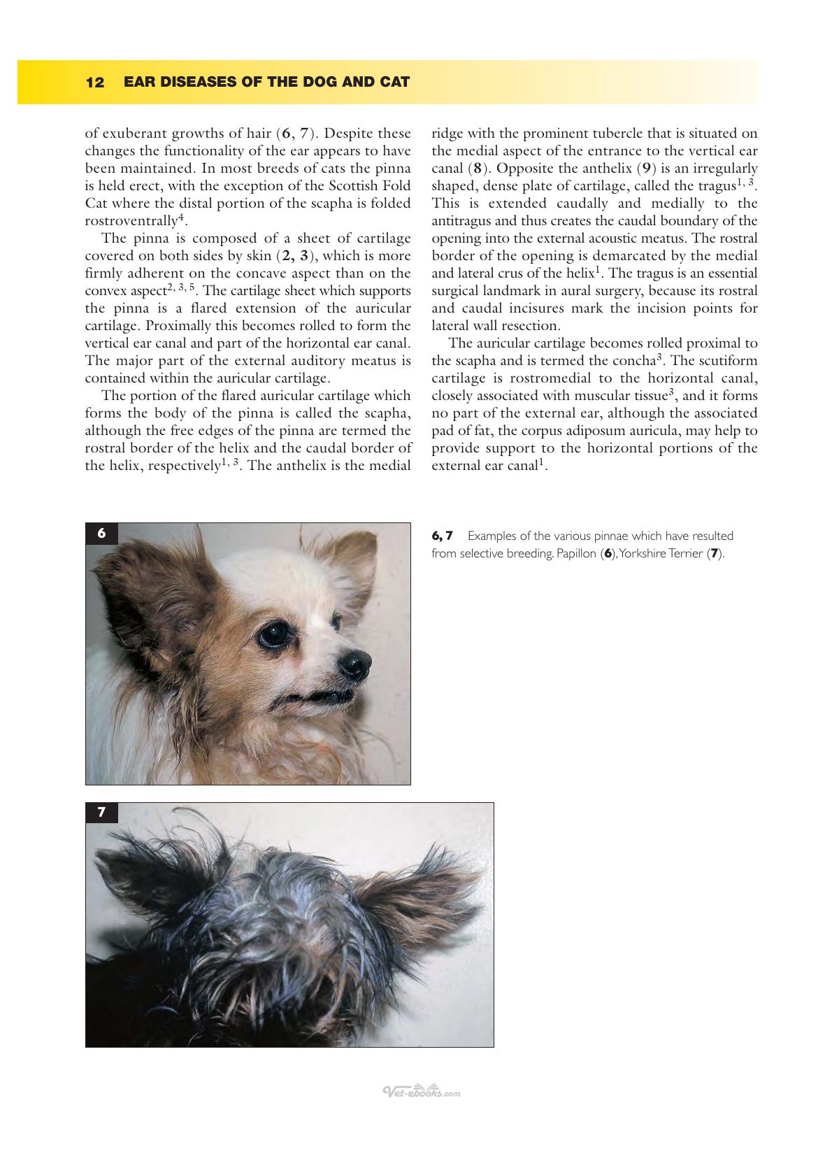 Ear Diseases Of The Dog And Cat