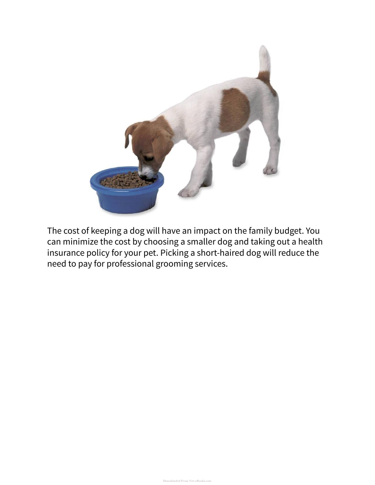 The Right Dog For You