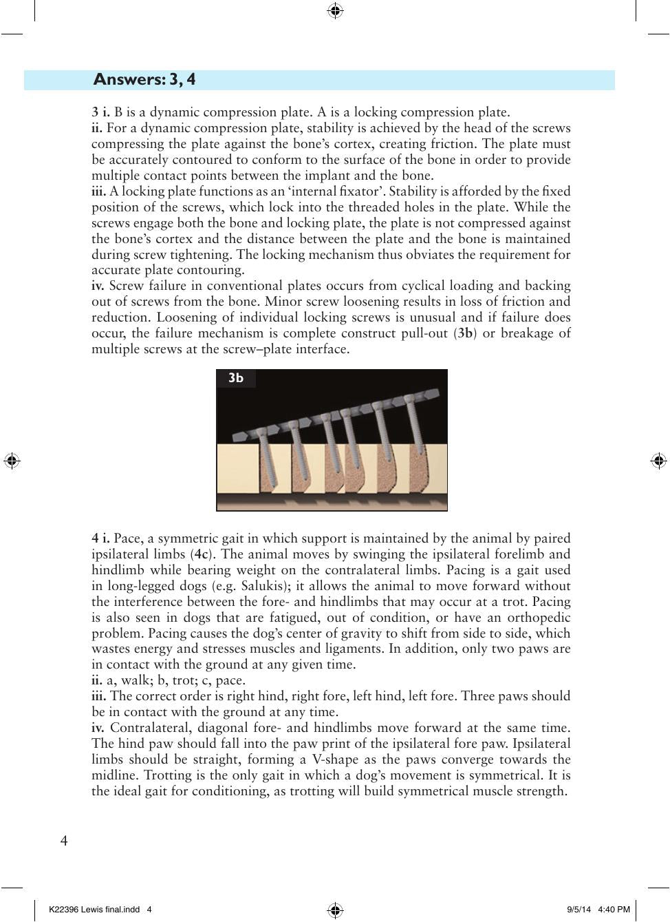 Look inside — page 13