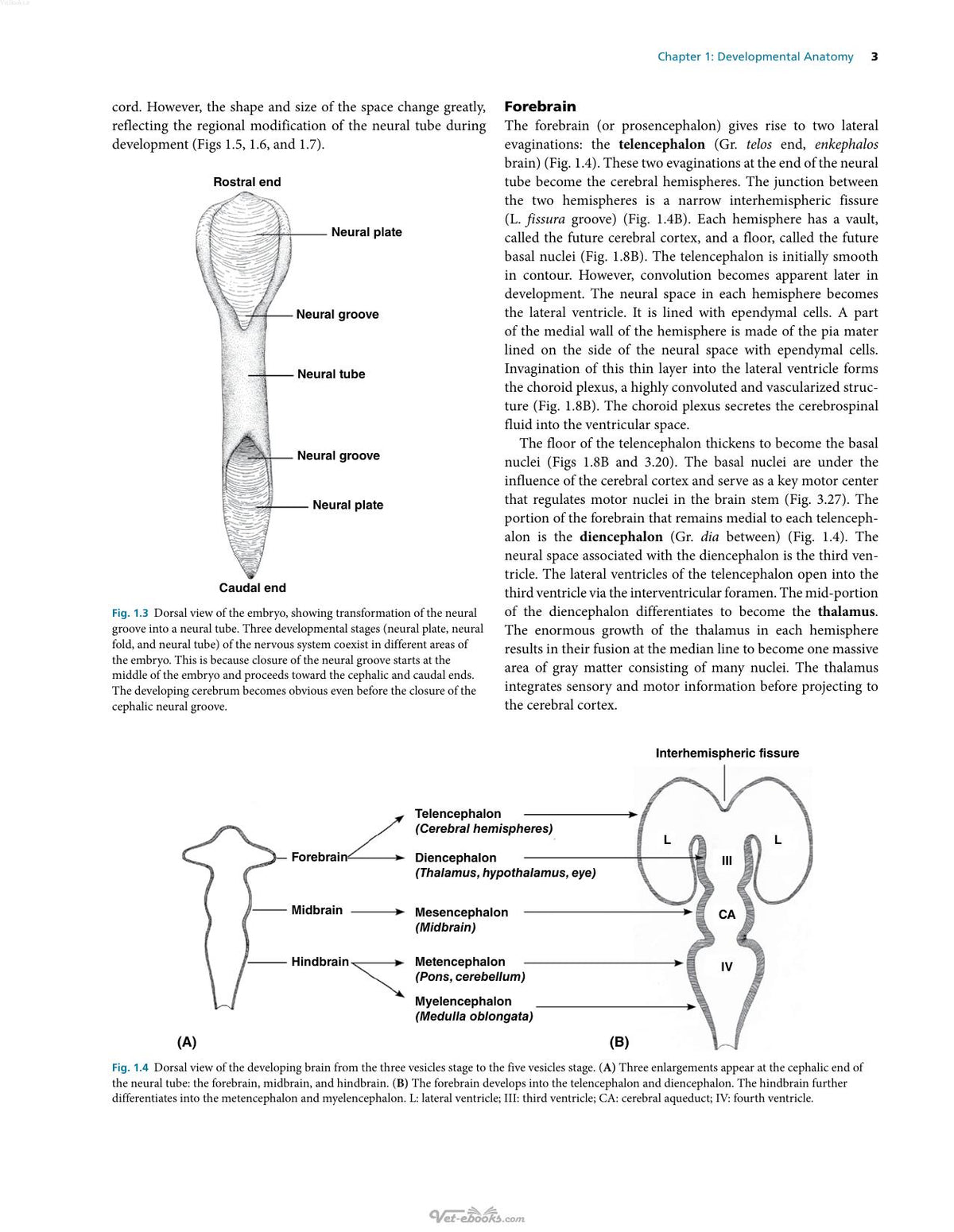 Look inside — page 13