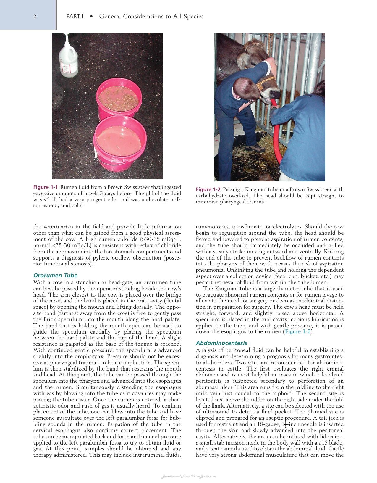 Farm Animal Surgery 2Nd Edition