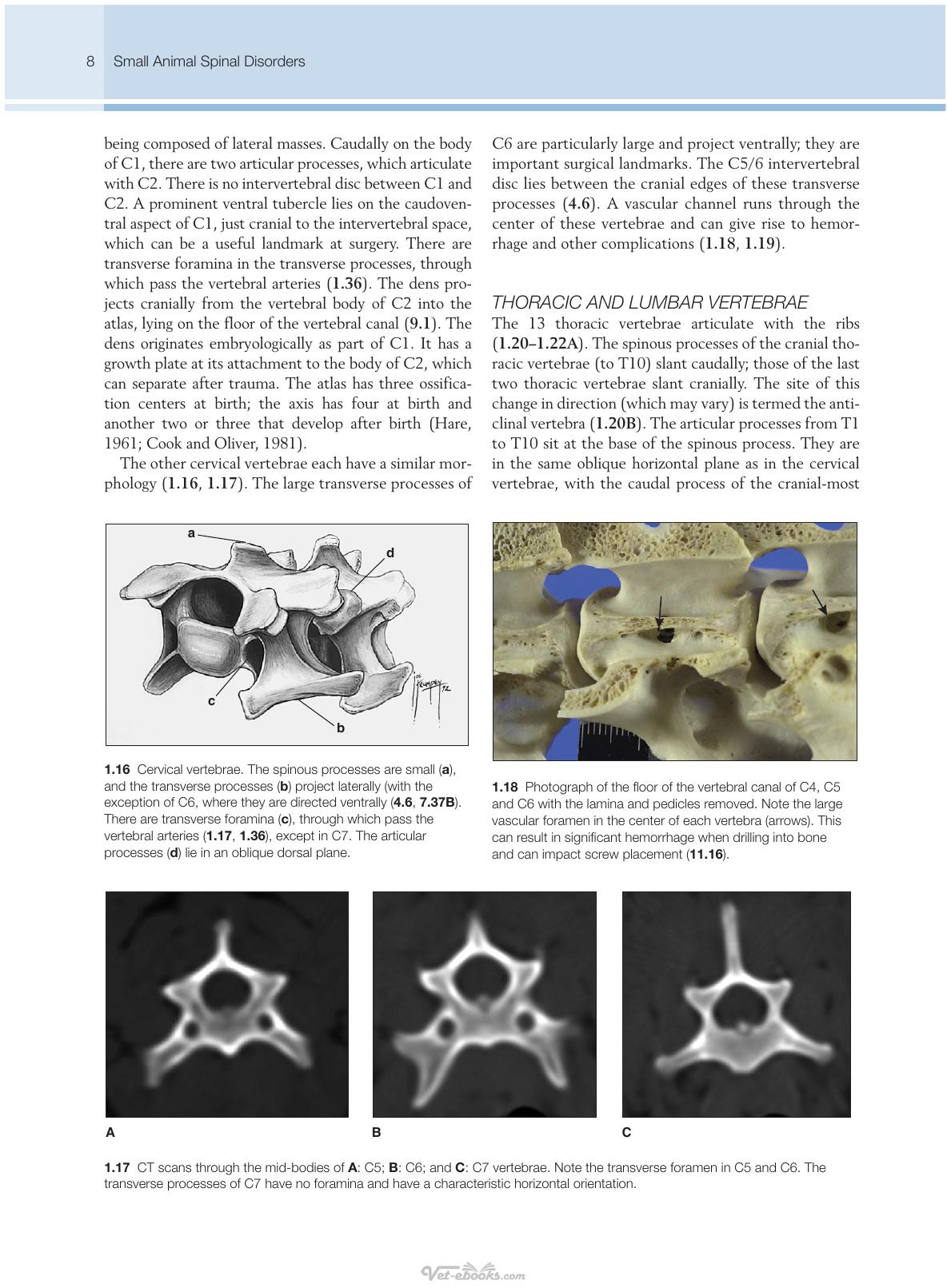 Small Animal Spinal Disorders Diagnosis And Surgery 2Nd Edition