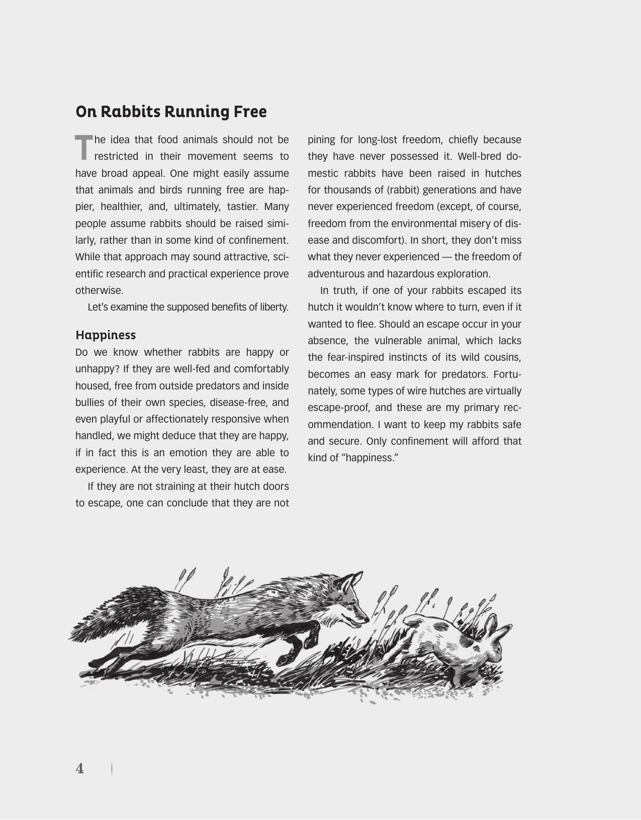 Look inside — page 13