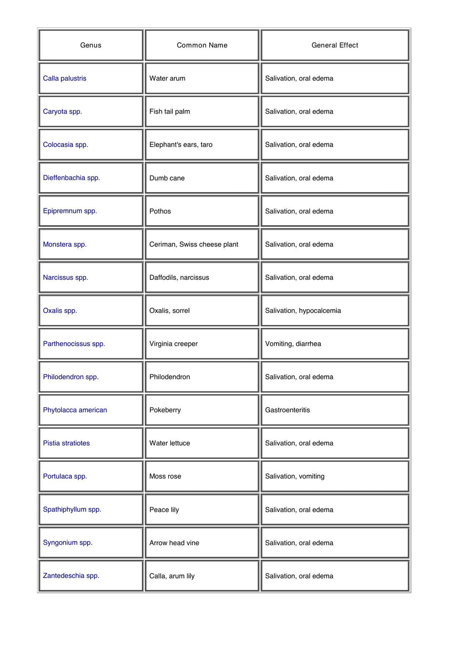Preview page of A Guide to Poisonous House and Garden Plants
