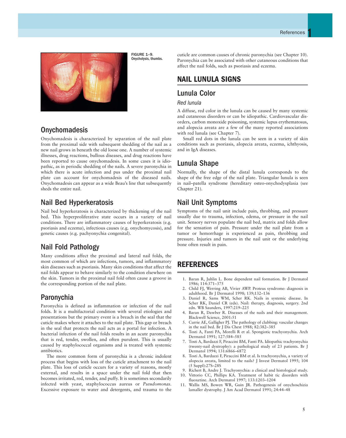 Look inside — page 13
