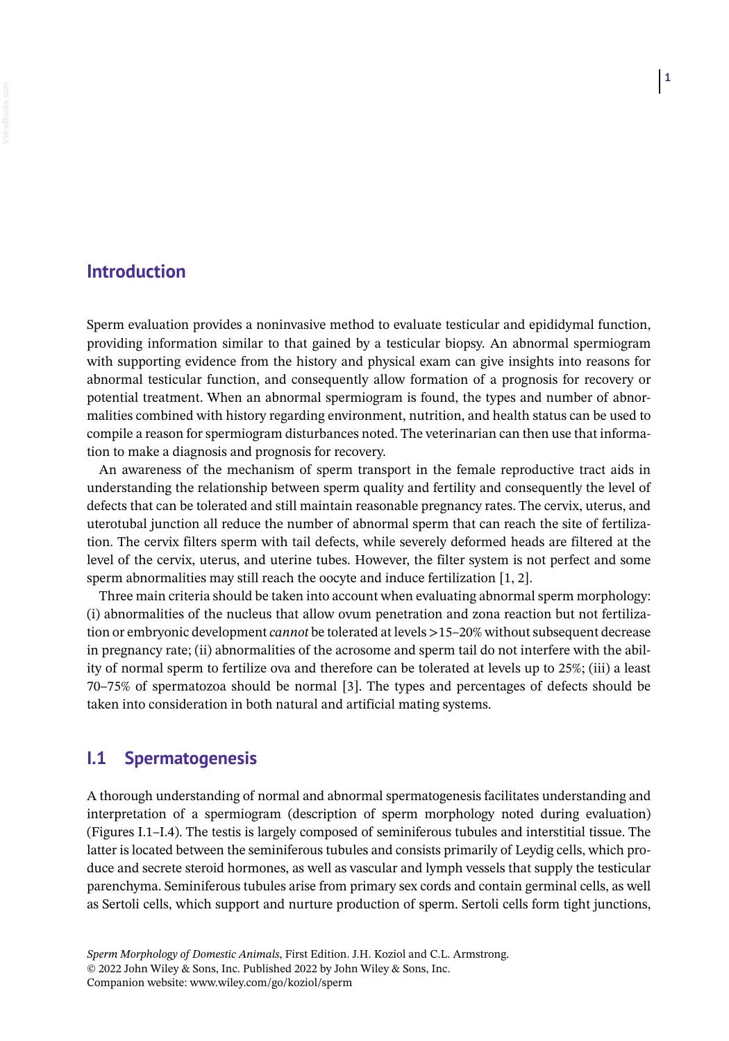 Sperm Morphology Of Domestic Animals