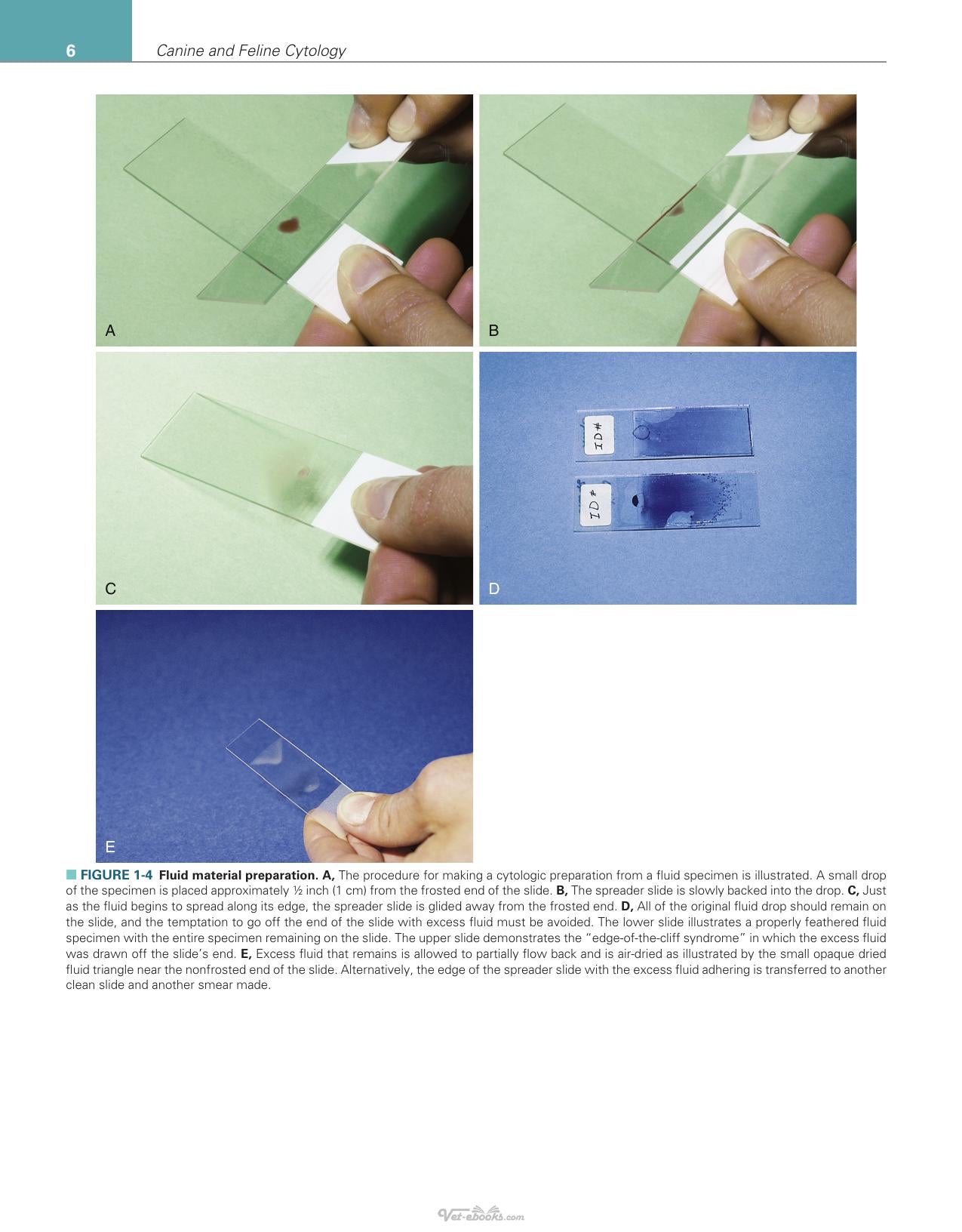 Canine And Feline Cytology A Color Atlas And Interpretation Guide 3Rd Edition