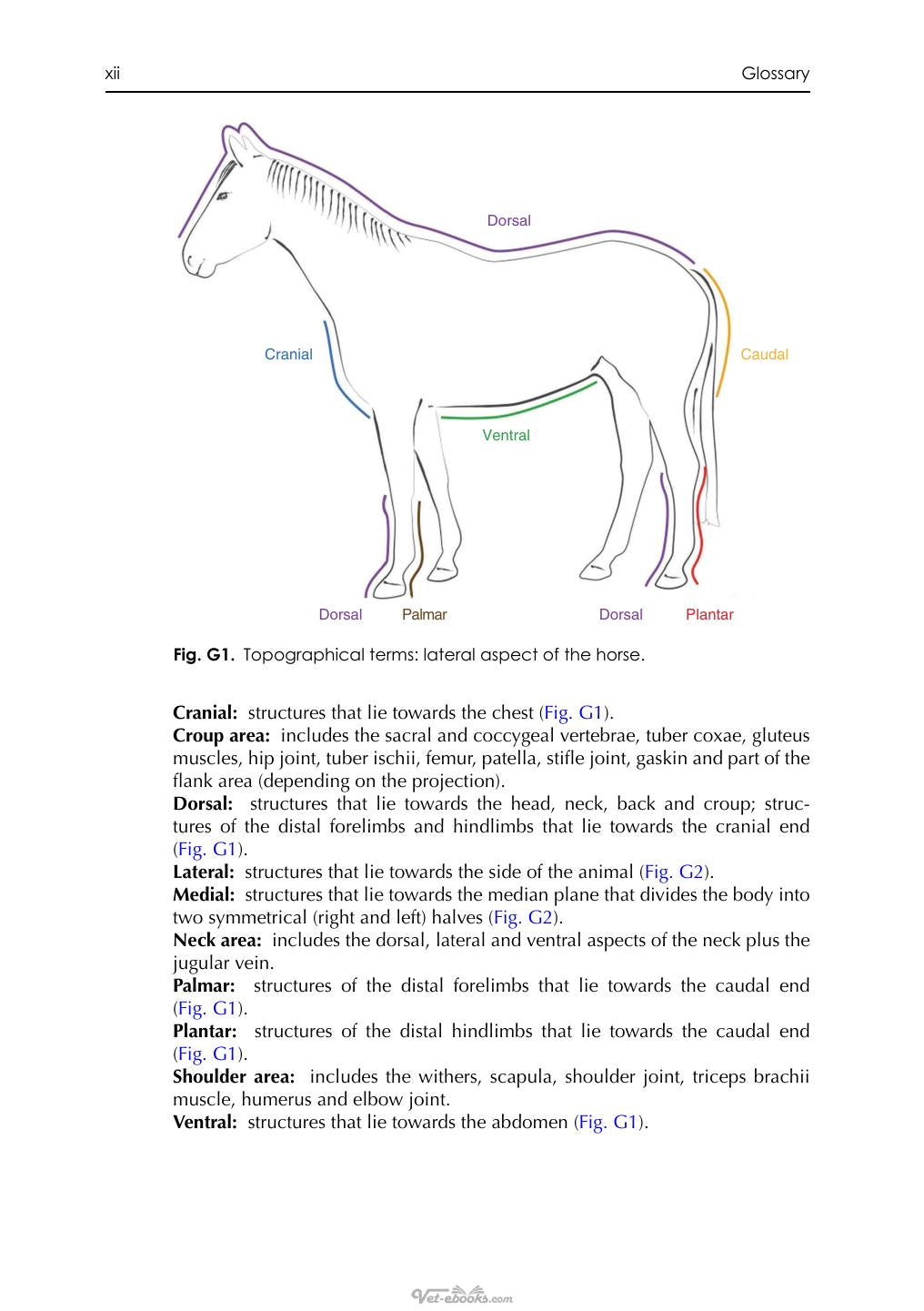 Equine Thermography In Practice 2Nd Edition