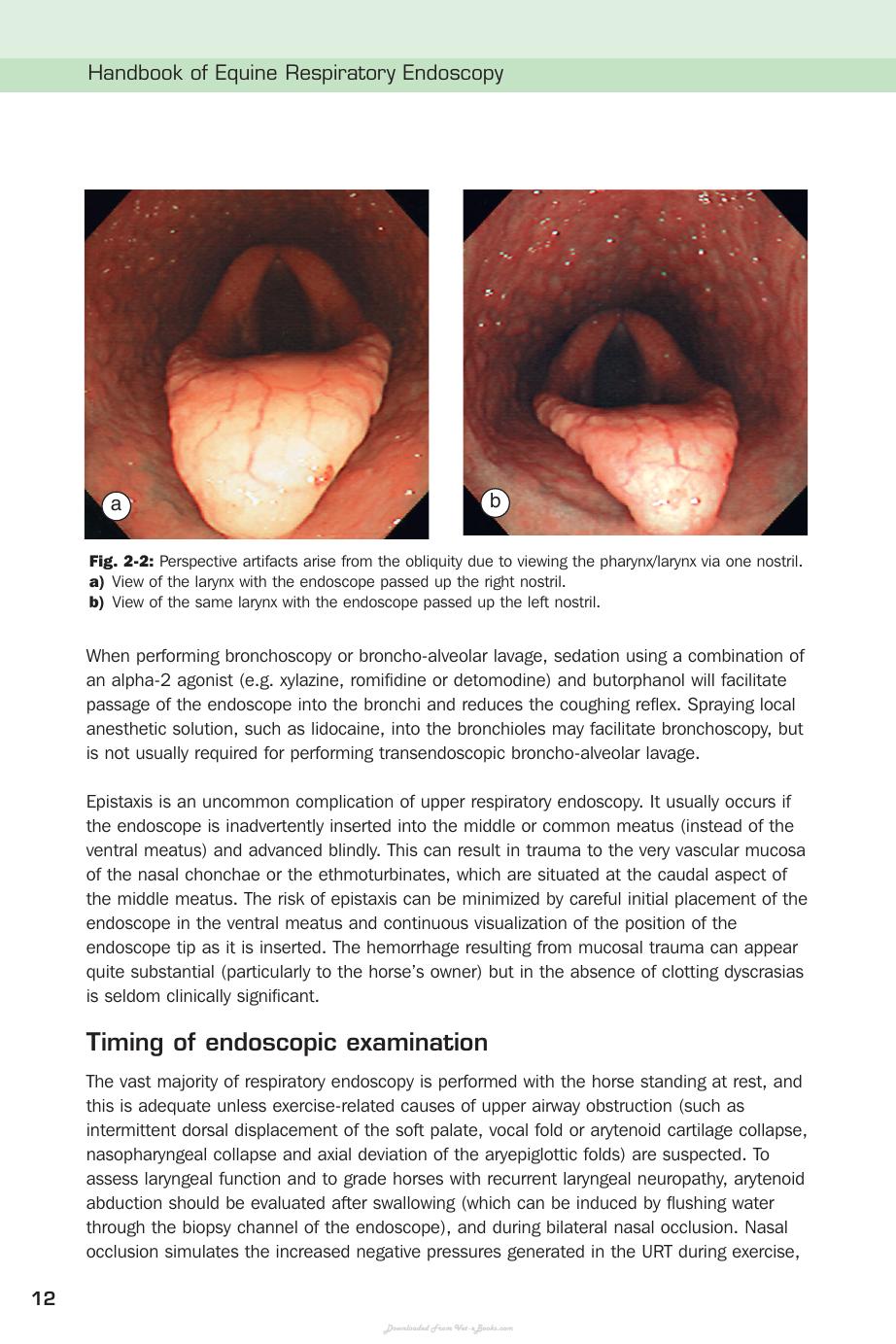 Handbook Of Equine Respiratory Endoscopy