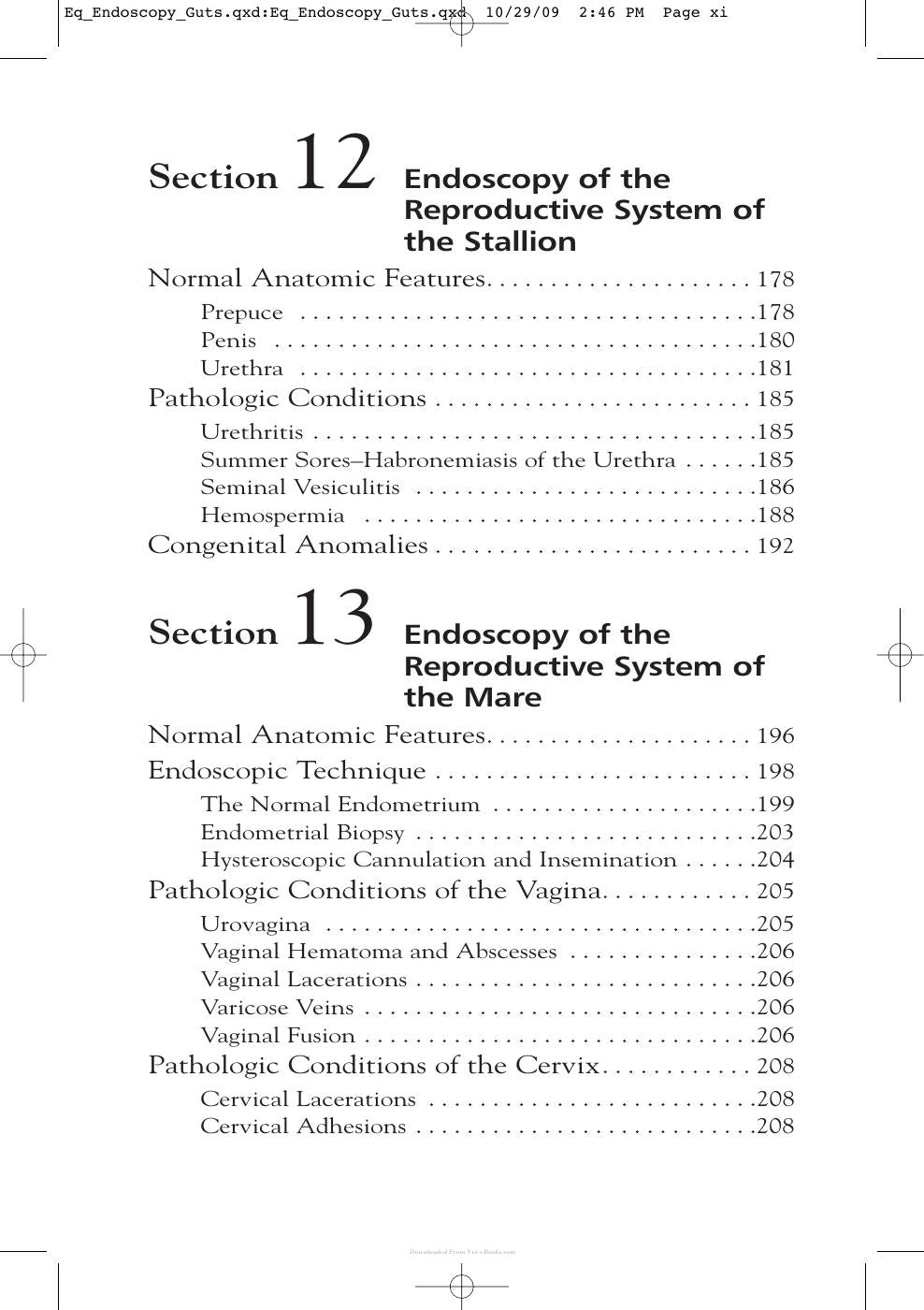 Equine Endoscopy And Arthroscopy For The Equine Practitioner