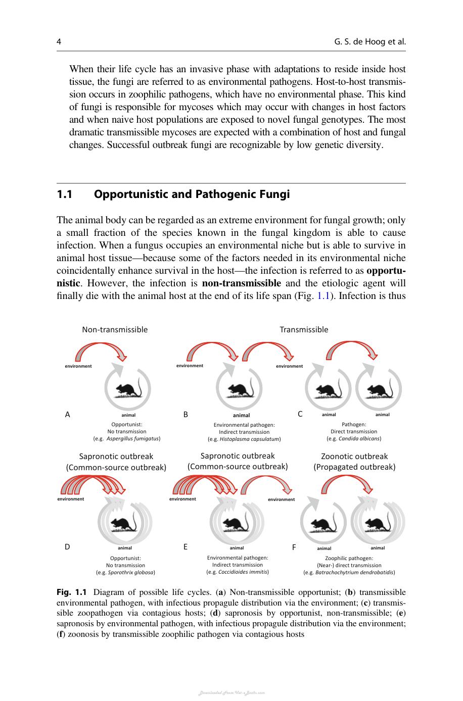 Emerging And Epizootic Fungal Infections In Animals