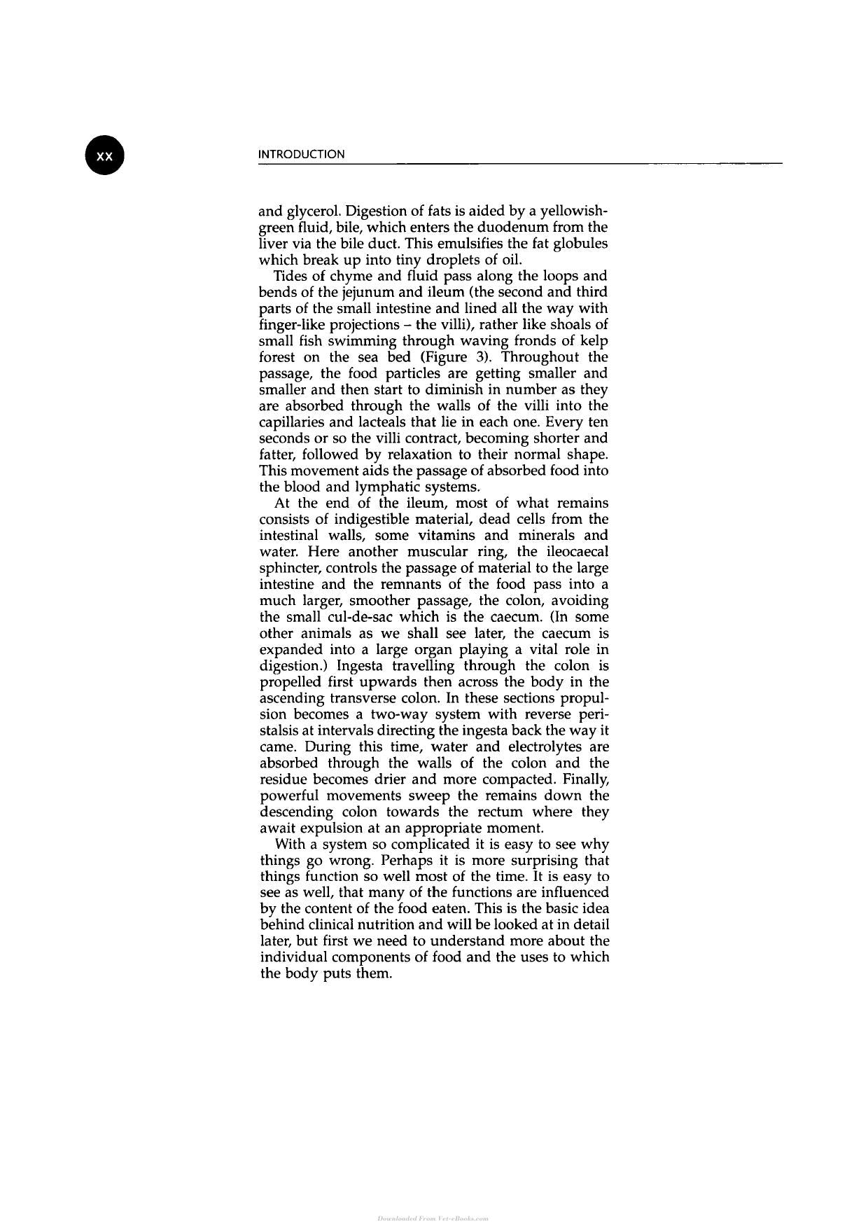 Look inside — page 13