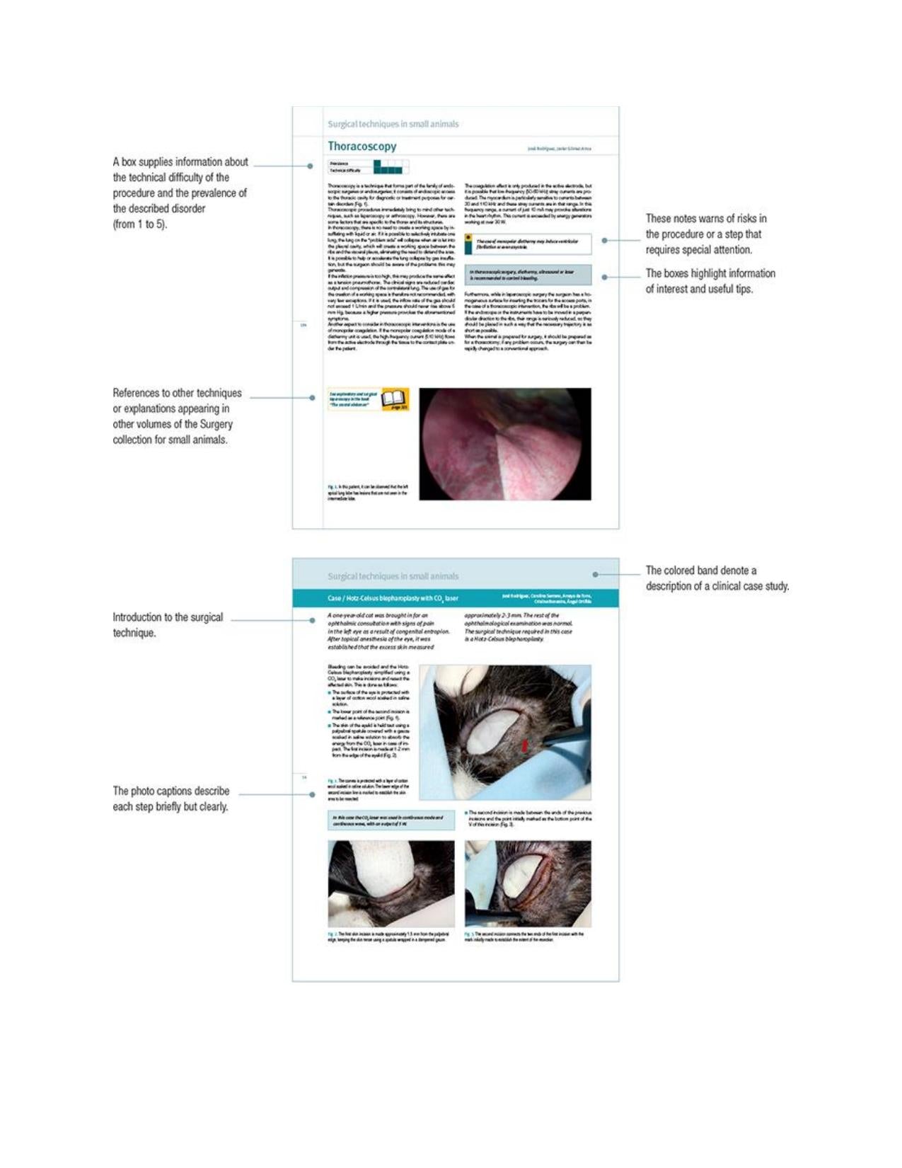 Small Animal Surgery A Step By Step Guide Surgical Technique