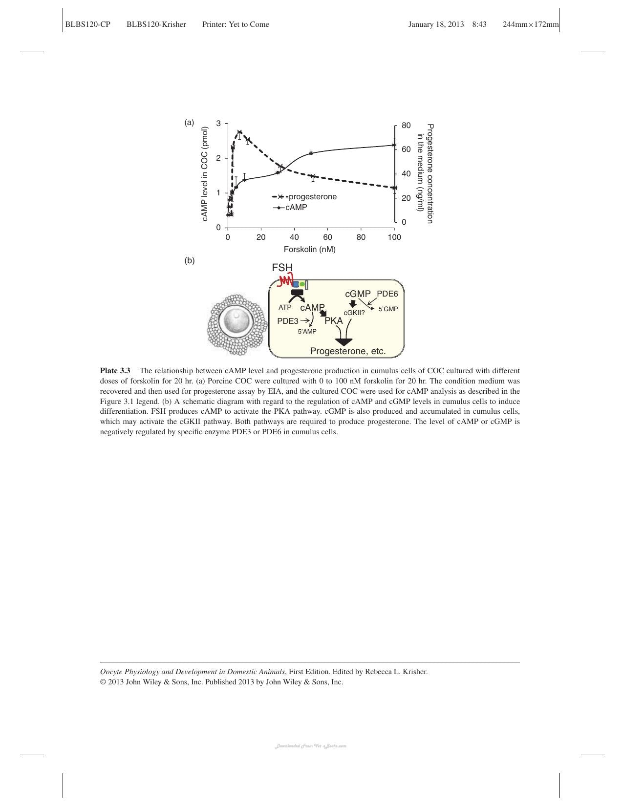 Oocyte Physiology And Development In Domestic Animals