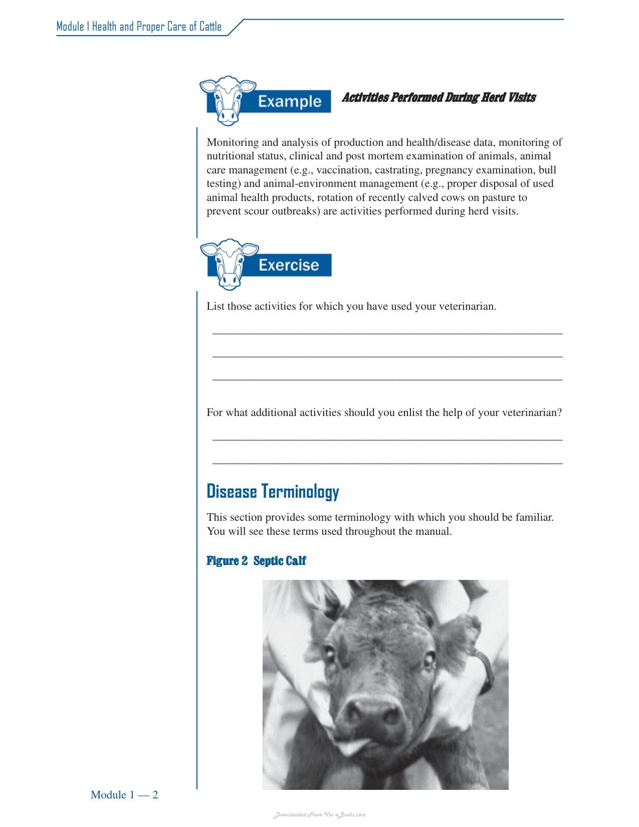 Cattle Medicine Responsible Use Course