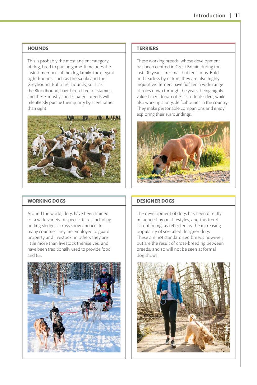 Dogs Dk Handbooks