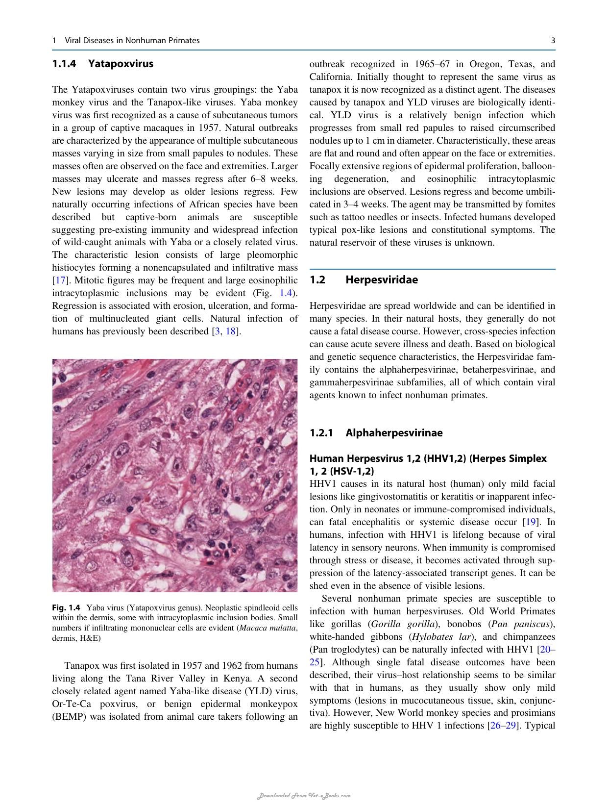 Atlas Of Diagnostic Pathology In Nonhuman Primates