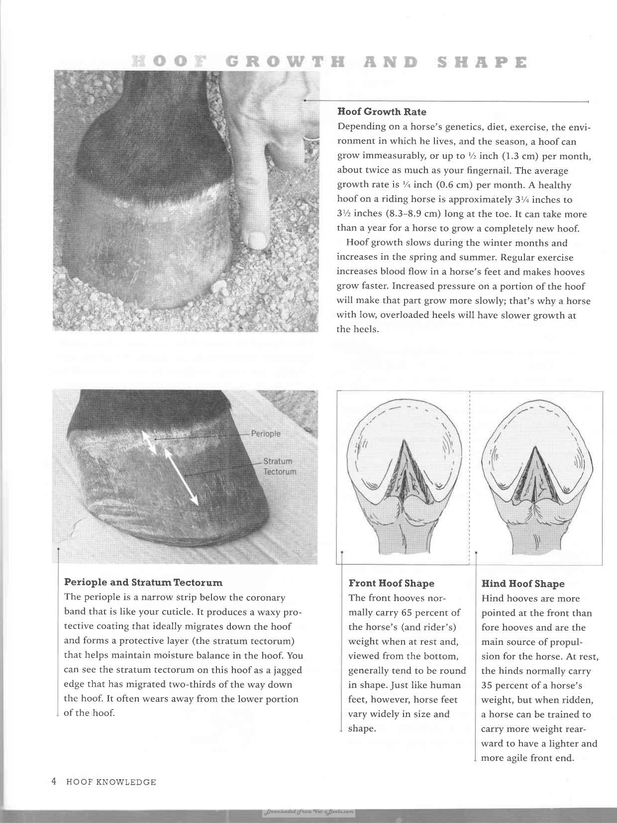 Look inside — page 13