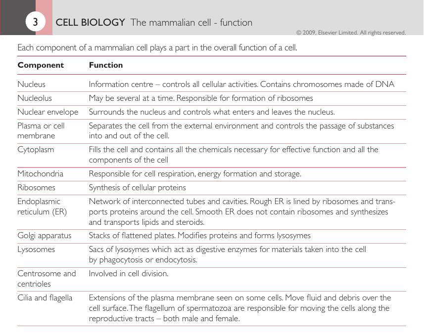 Introduction To Veterinary Anatomy And Physiology Flashcards