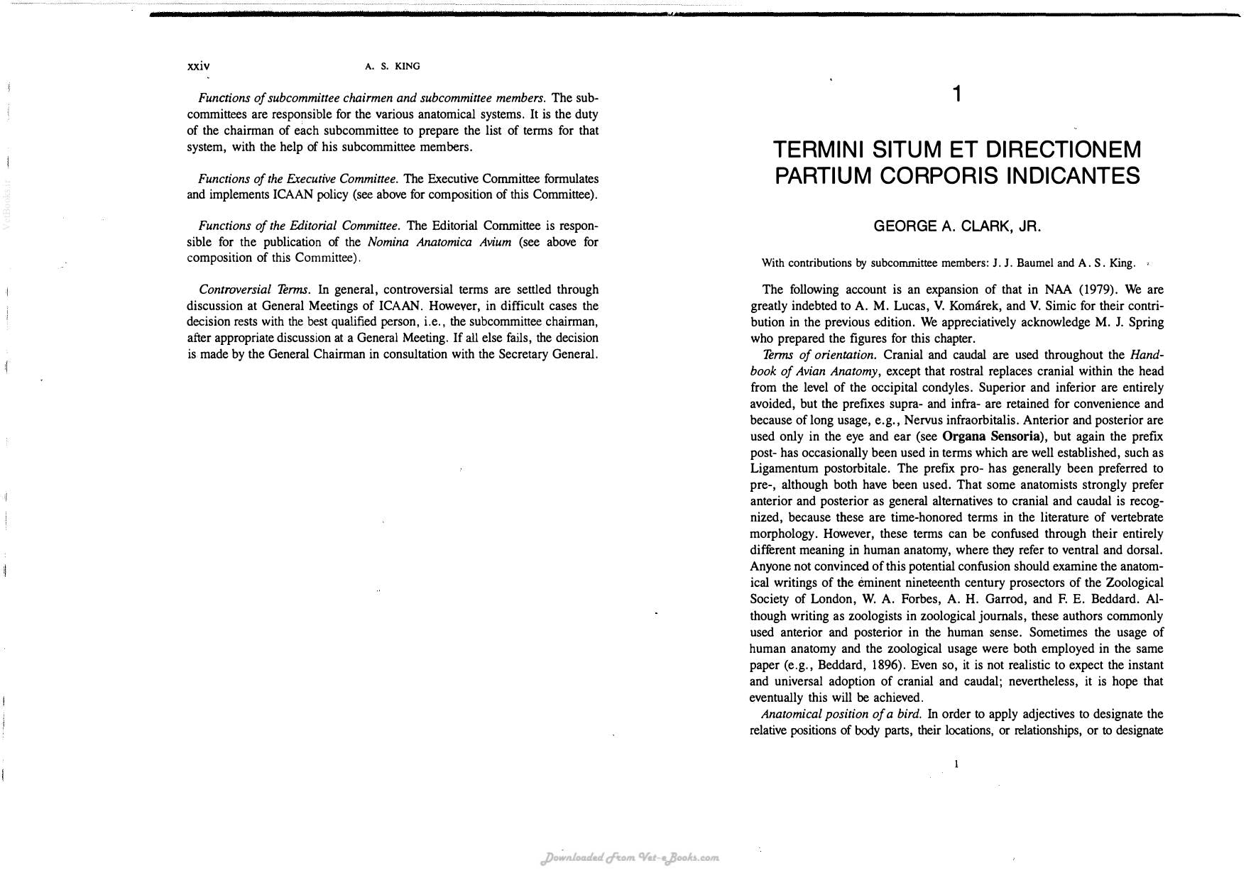 Look inside — page 13