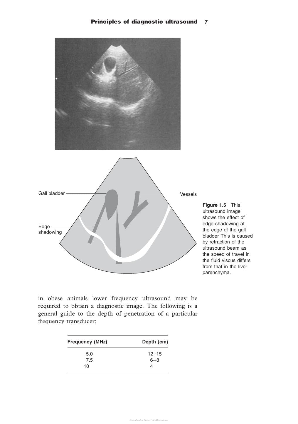 Diagnostic Ultrasound In Small Animal Practice