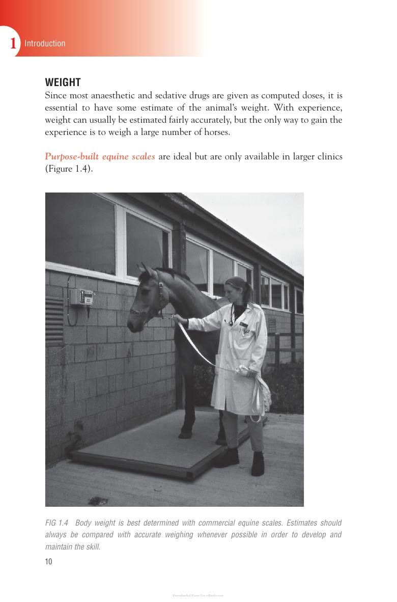 Handbook Of Equine Anaesthesia 2Nd